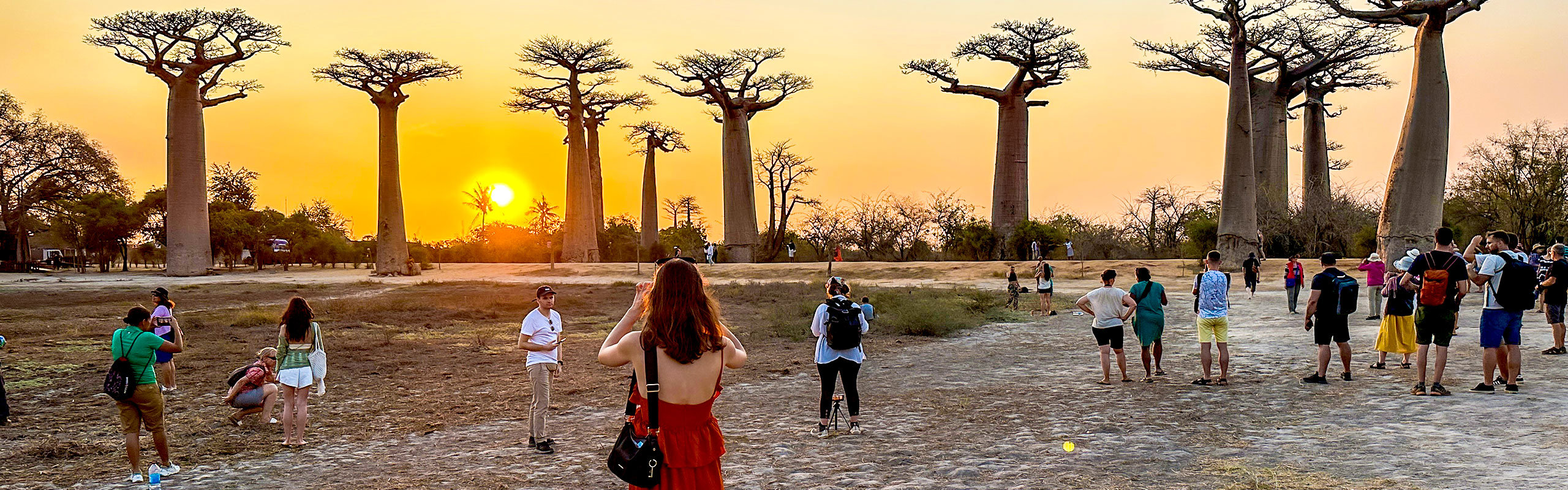 Baobabs Avenue, Madagascar