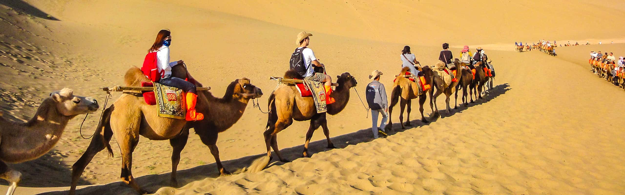 Silk Road Tours