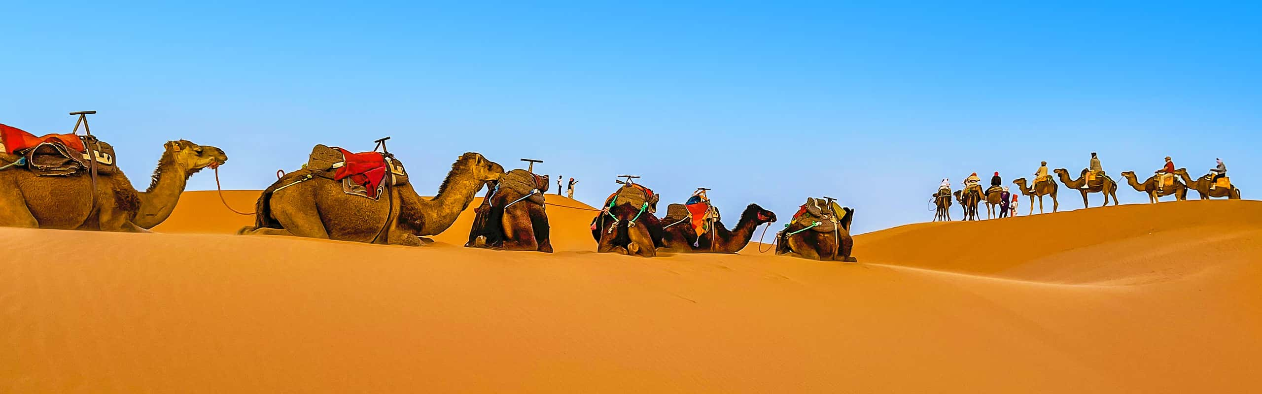 Sahara Desert, Morocco