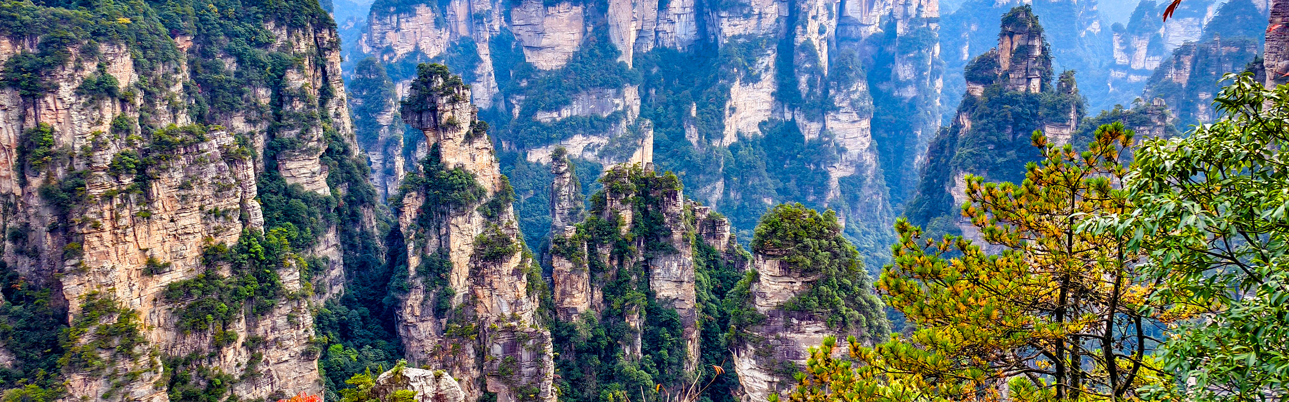 Zhangjiajie Forest Park